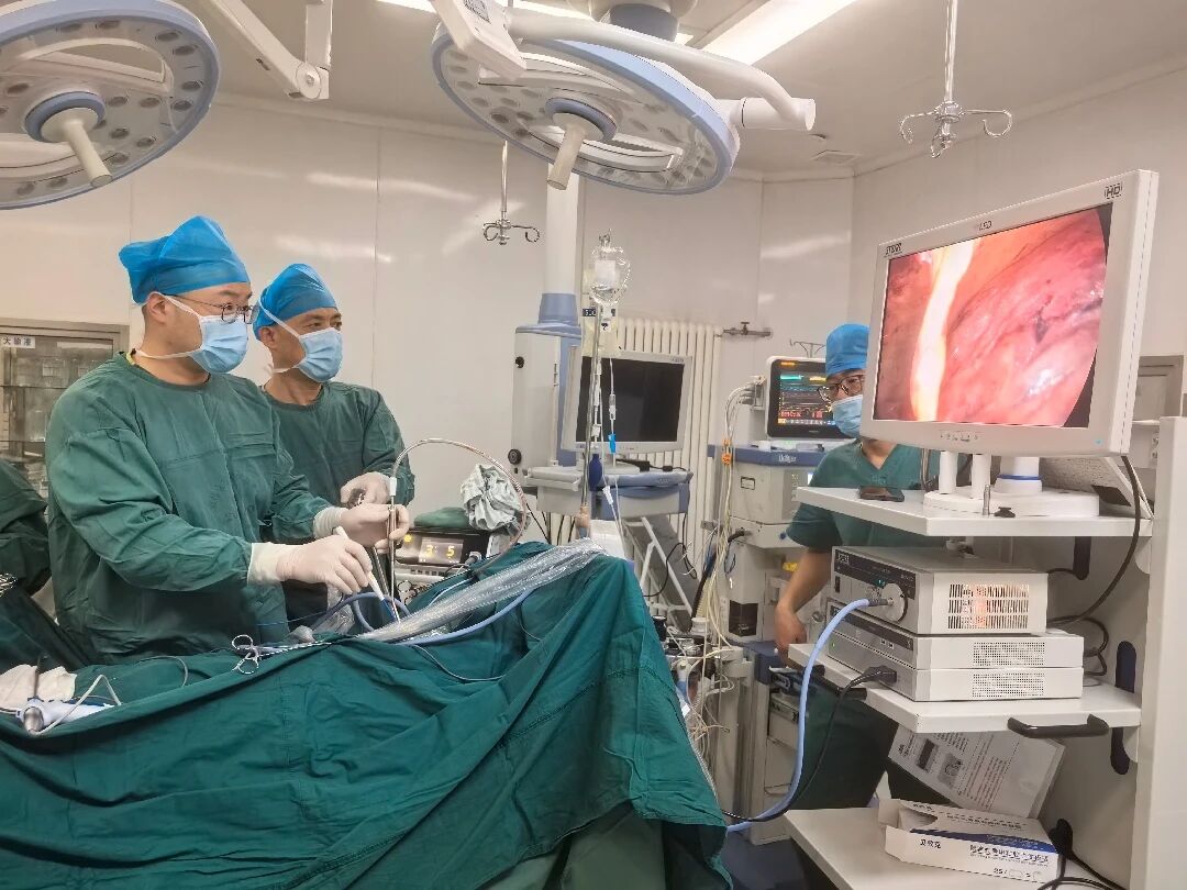 微信图片_2026-03-13_091008_405.jpg 微信图片_2026-03-13_091008_405.jpg